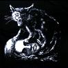 Estampa do gato negro de Poe na camiseta da Apparel